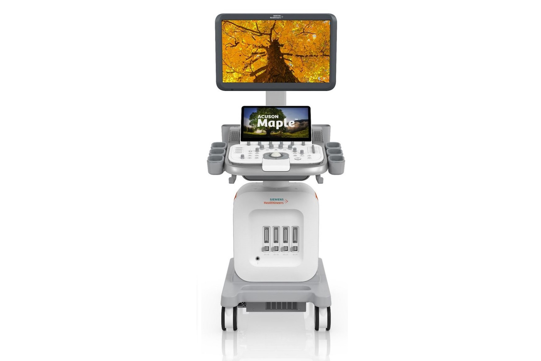 SIEMENS SIEMENS ACUSON Maple